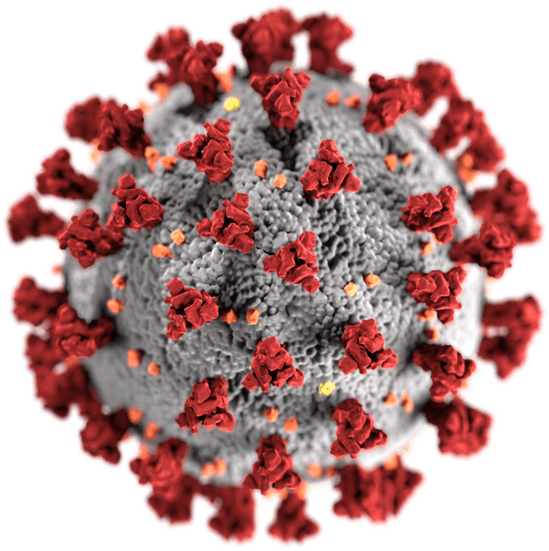 COVID-19 - Coronavirus